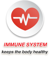 IMMUNE SYSTEM