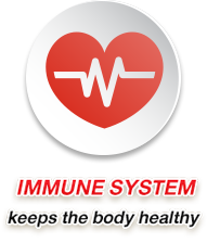 IMMUNE SYSTEM